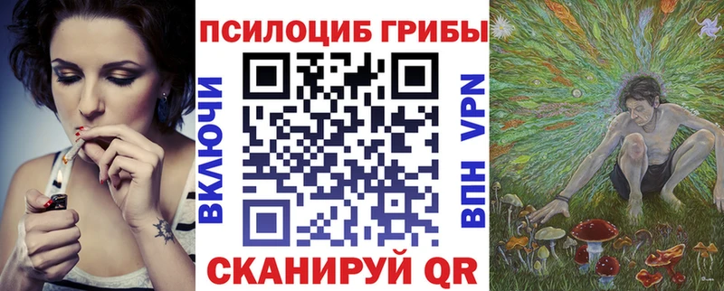 OMG   закладка  Валуйки  Псилоцибиновые грибы ЛСД 